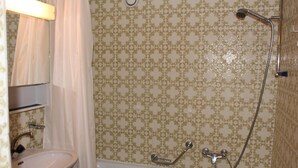 A bathroom with a sink, a shower with a handheld showerhead, and a bathtub. - Studio-apartment for 2-3 persons : Living room with 2 sofa-beds and 1 pull-out bed - kitchenette wit (Grimentz)