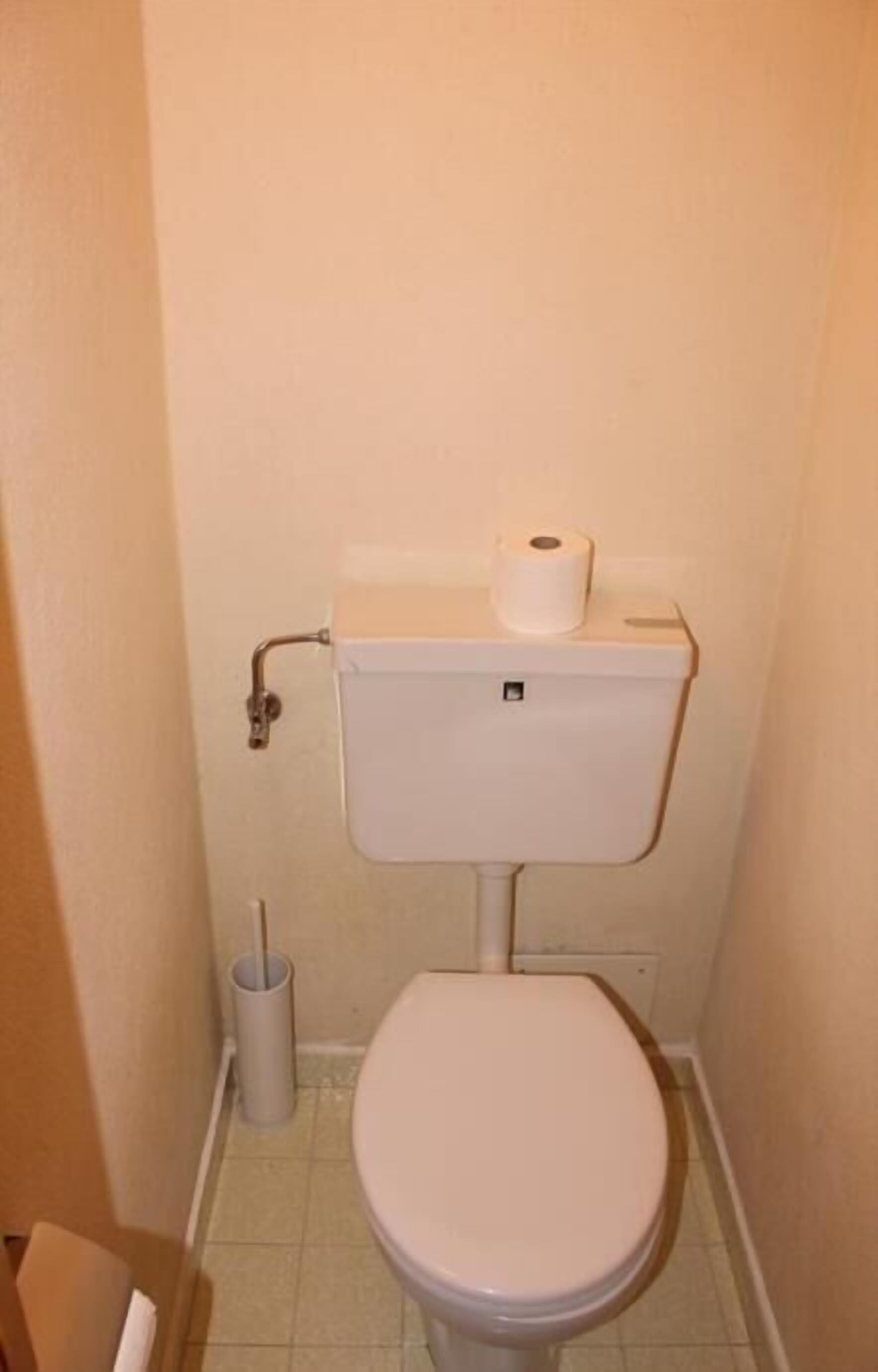 A small, plain bathroom with a toilet, a roll of toilet paper, and a toilet brush.