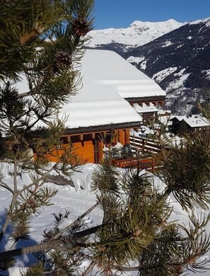 Property grounds - Very comfortable chalet for 8 persons : Living room with non usable fireplace - kitchen with dishwas (Grimentz)