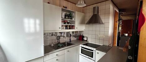 Oven, stovetop, dishwasher