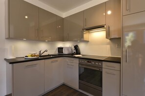 A modern kitchen with stainless steel appliances, white cabinets, and a black countertop. - Very comfortable 4 room apartment for 6 persons : Living room with fire-place - kitchen with dishwas (Grimentz)