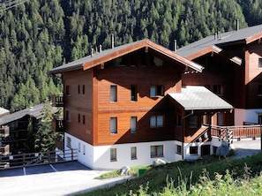 Exterior - Very comfortable 4 room apartment for 6 persons : Living room with fire-place - kitchen with dishwas (Grimentz)