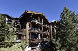 Exterior - Comfortable 3-room apartment for 4 persons : Living room with fireplace - 1 room with 2 beds - 1 roo (Grimentz)