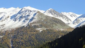 Eine Berglandschaft mit schneebedeckten Gipfeln und einem bewaldeten Tal.