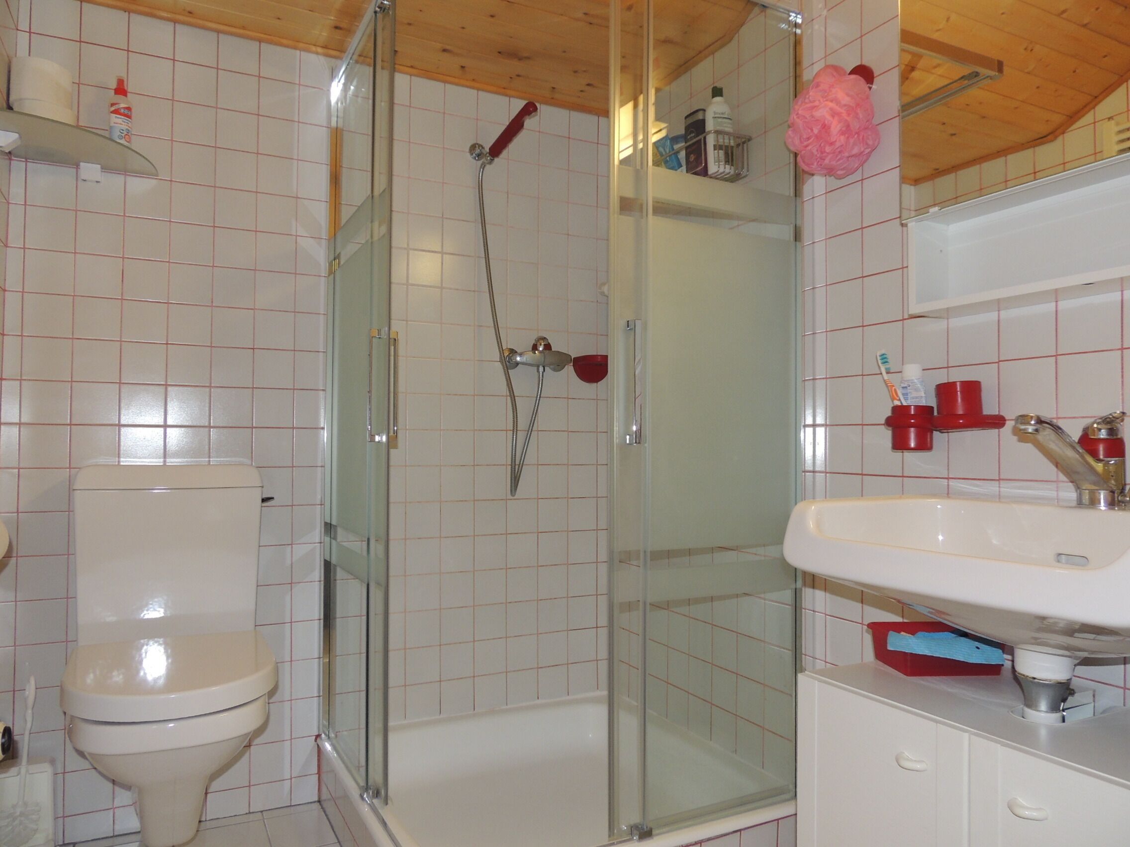 Un bagno con il water, una cabina doccia in vetro, un lavandino e uno specchio.
