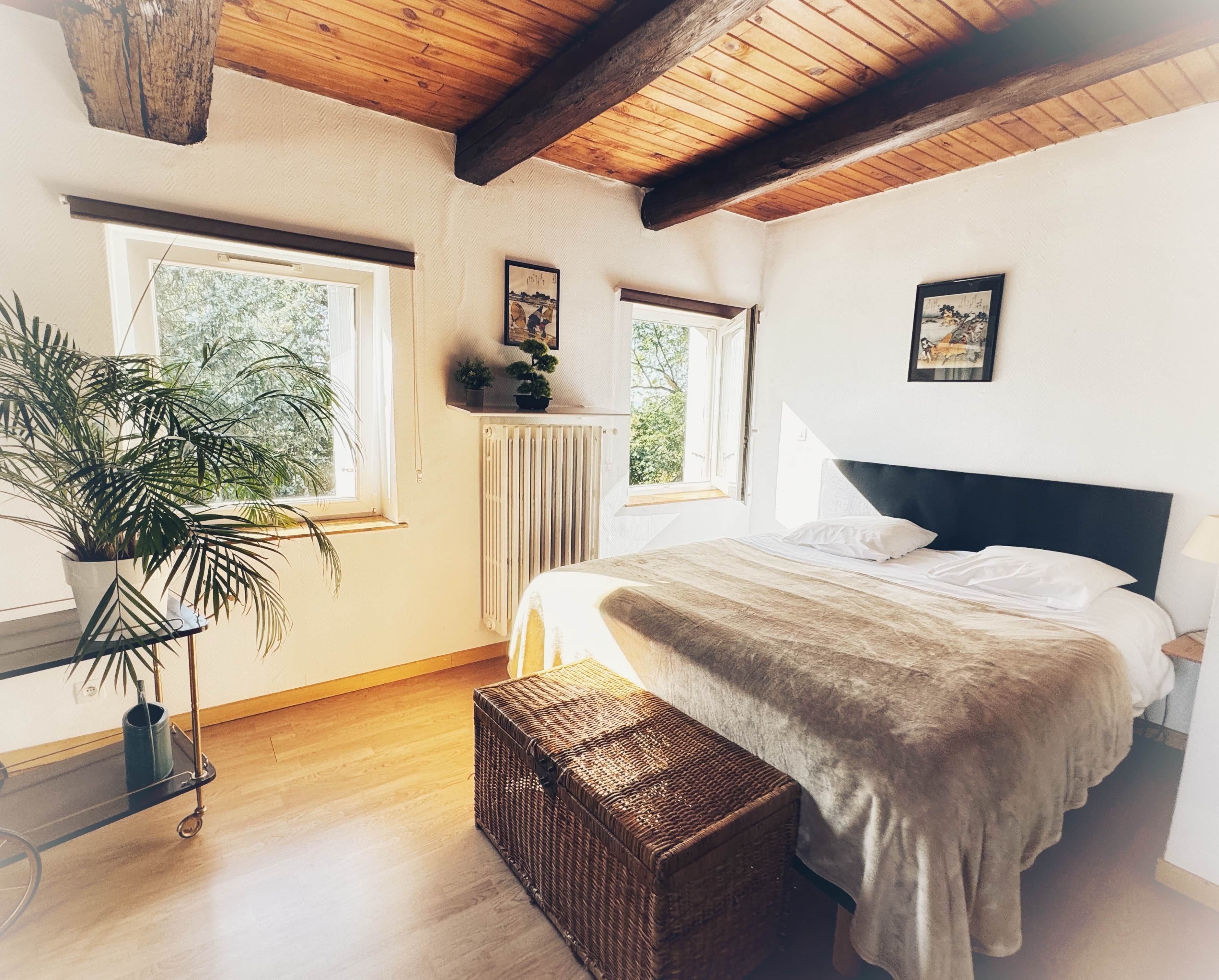 1 camera, ferro/asse da stiro, Wi-Fi, lenzuola