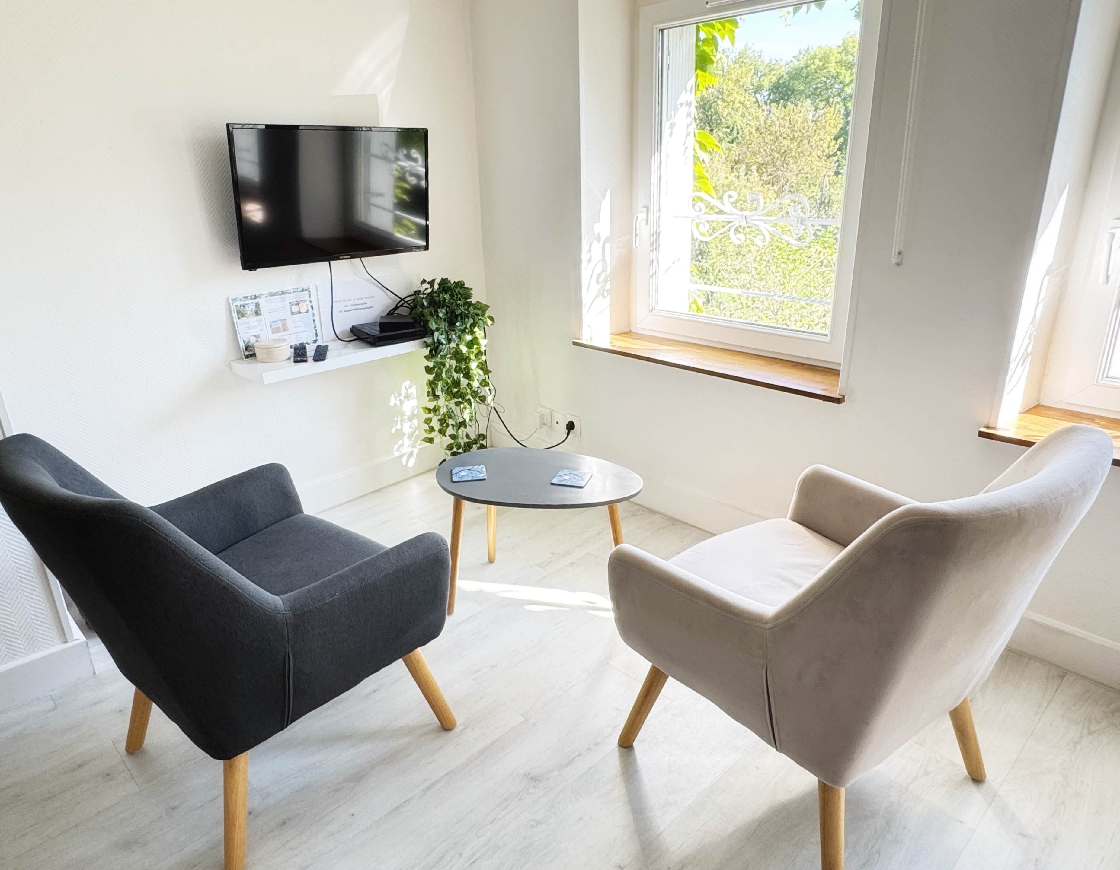 Ein modernes Wohnzimmer mit zwei Sesseln, einem kleinen runden Tisch, einem an der Wand befestigten Flachbildfernseher, einer Pflanze und einem Fenster mit Blick auf Grünflächen.