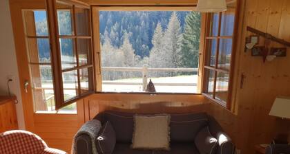 Apartment for 4 to 6 people 200m from the ski lifts: 1 double bedroom - 1 bedroom with two separate