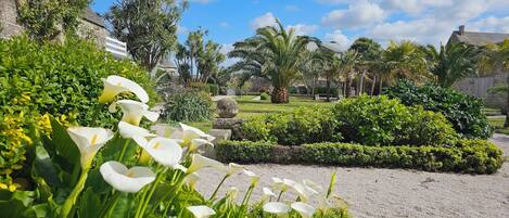 Un jardín con flores blancas, palmeras y un muro de piedra.