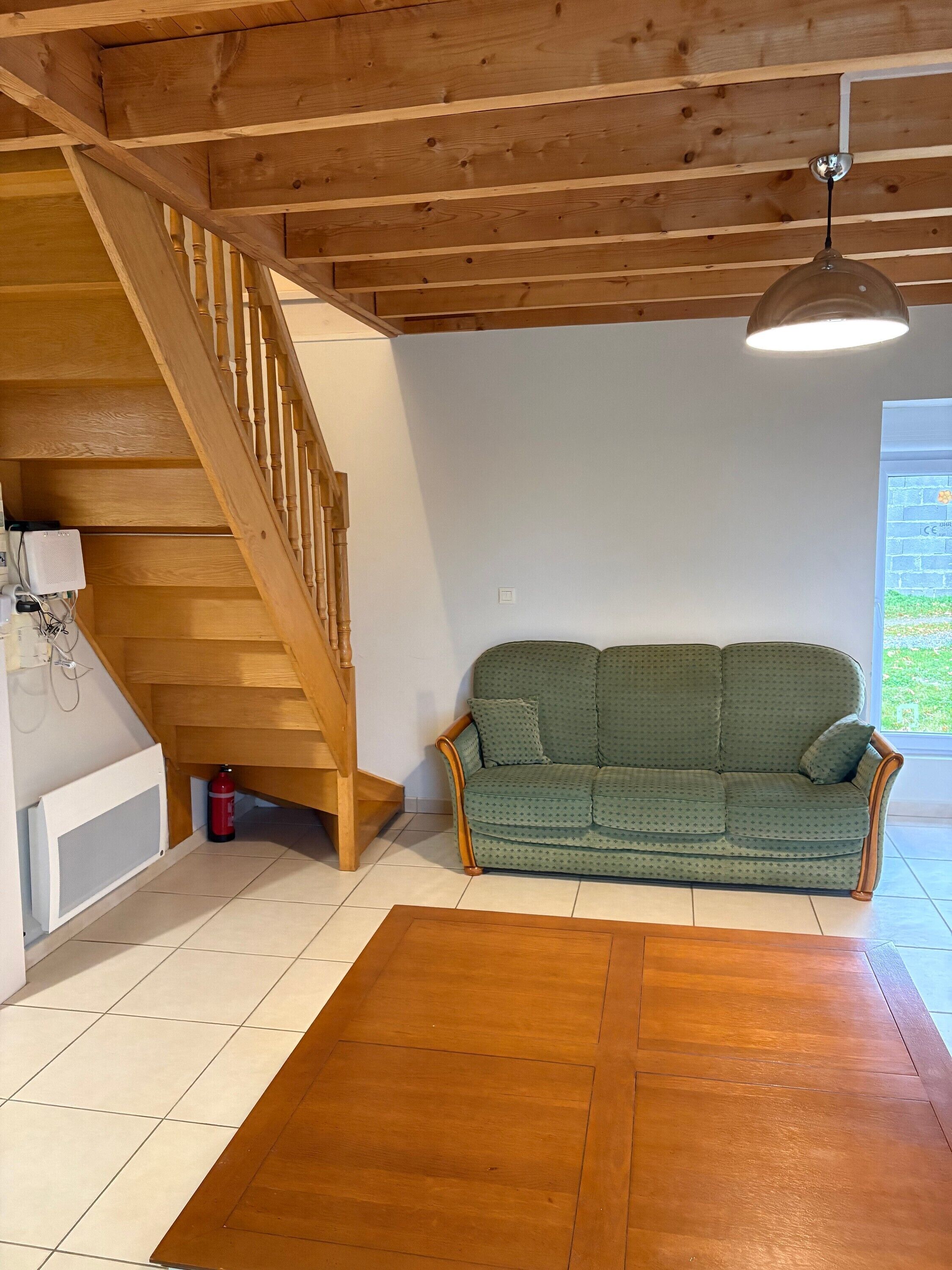 Televisión, chimenea, reproductor de DVD y tenis de mesa 