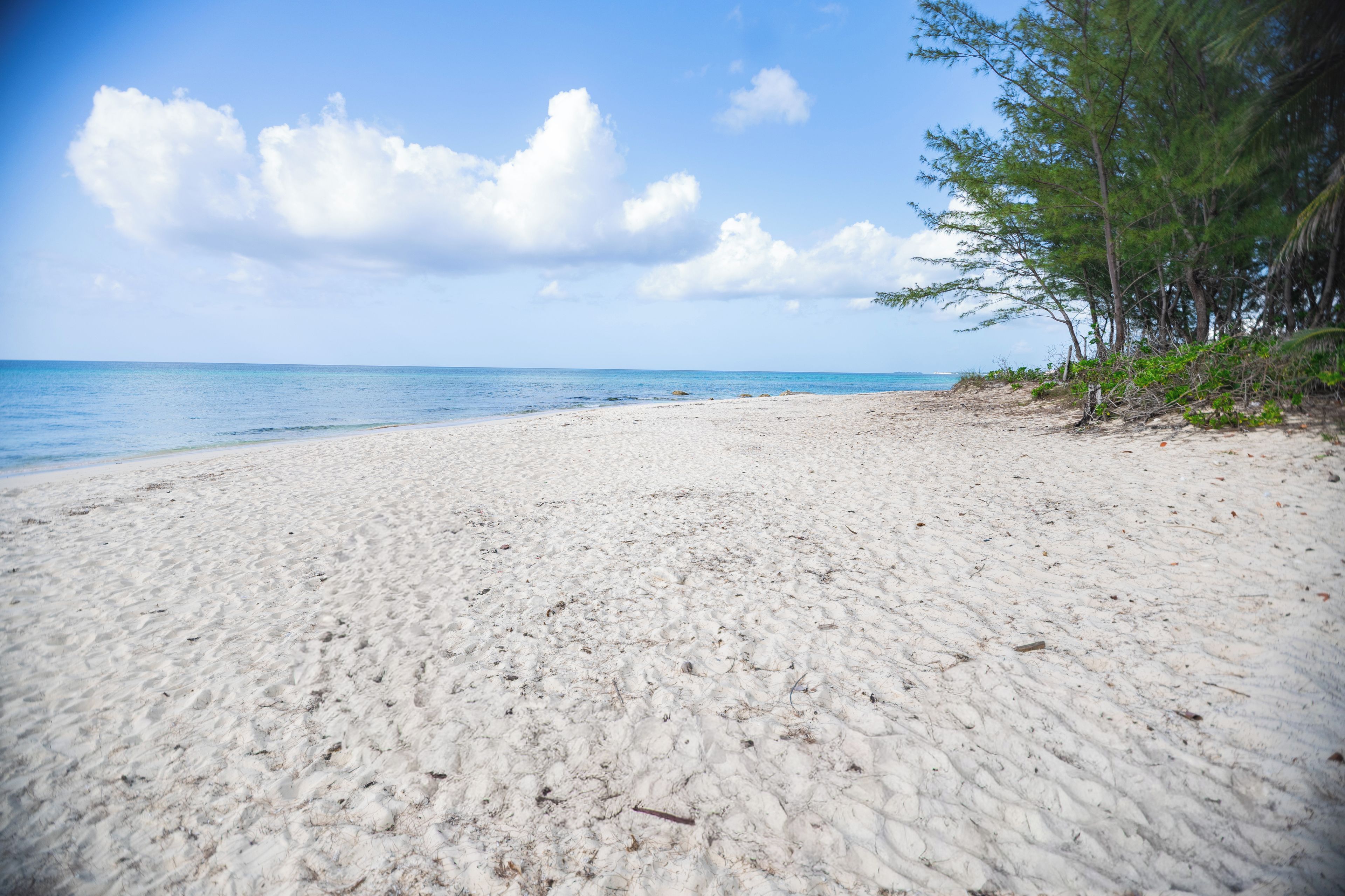 Une plage de sable blanc, avec une eau d’un bleu limpide et quelques arbres.
