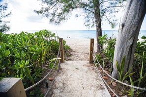 Een pad dat naar een strand leidt, met een touwbarrière, omringd door groen.