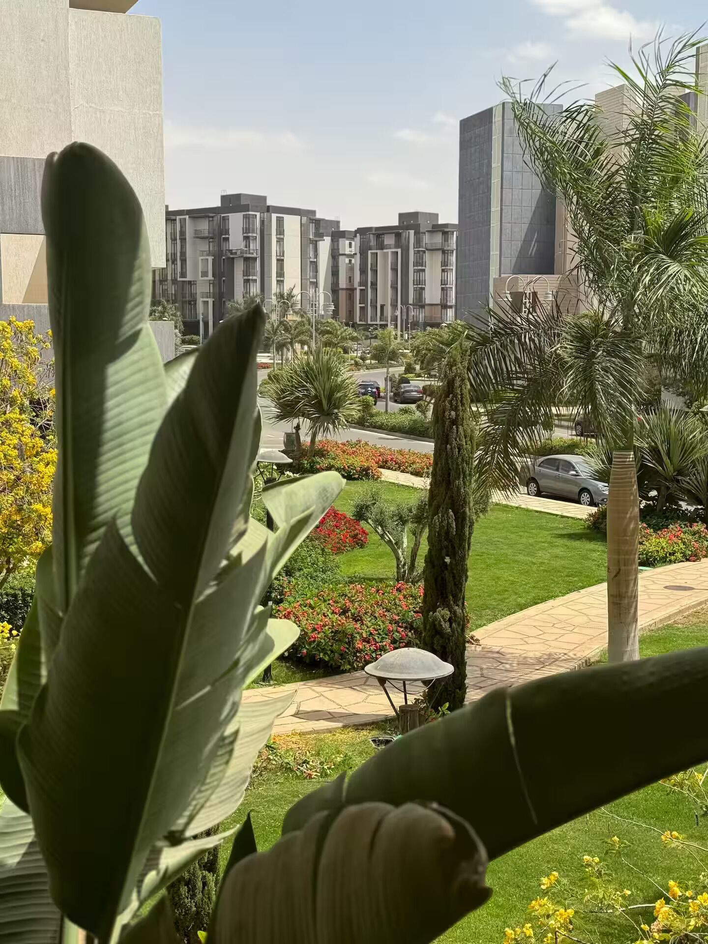 Jardines del alojamiento