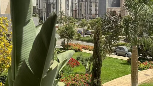 Un edificio moderno con vista a un jardín, que cuenta con un camino pavimentado, palmeras y una diversidad de plantas.