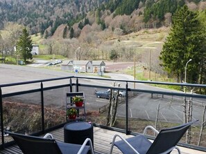 Property grounds - Apartment with large sunny terrace, close to spa and skiing (Mont-Dore)