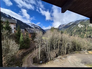 View from property - Châtel Studio for 4 with Parking and WIFI (Châtel)
