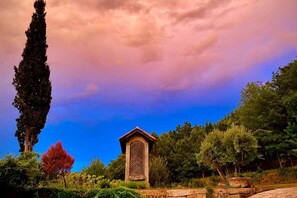 Exterior - Villa in the Douro - Quinta de Pias. Perfect for families! (Espadanedo)