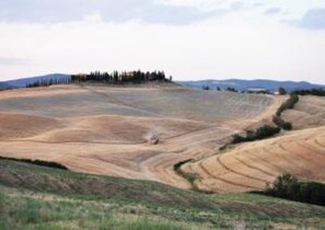 A vast, open landscape with rolling hills and a distant line of trees. - Agriturismo Bonello Flat 2 Bedrooms with Pool, Private Terrace and Wi-Fi (Pienza)