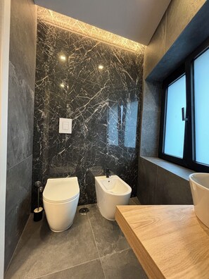 Regadera, secadora de cabello, bidet, toallas 