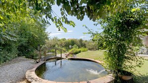 A circular stone pool with a wooden bridge, surrounded by lush greenery and a grassy area.