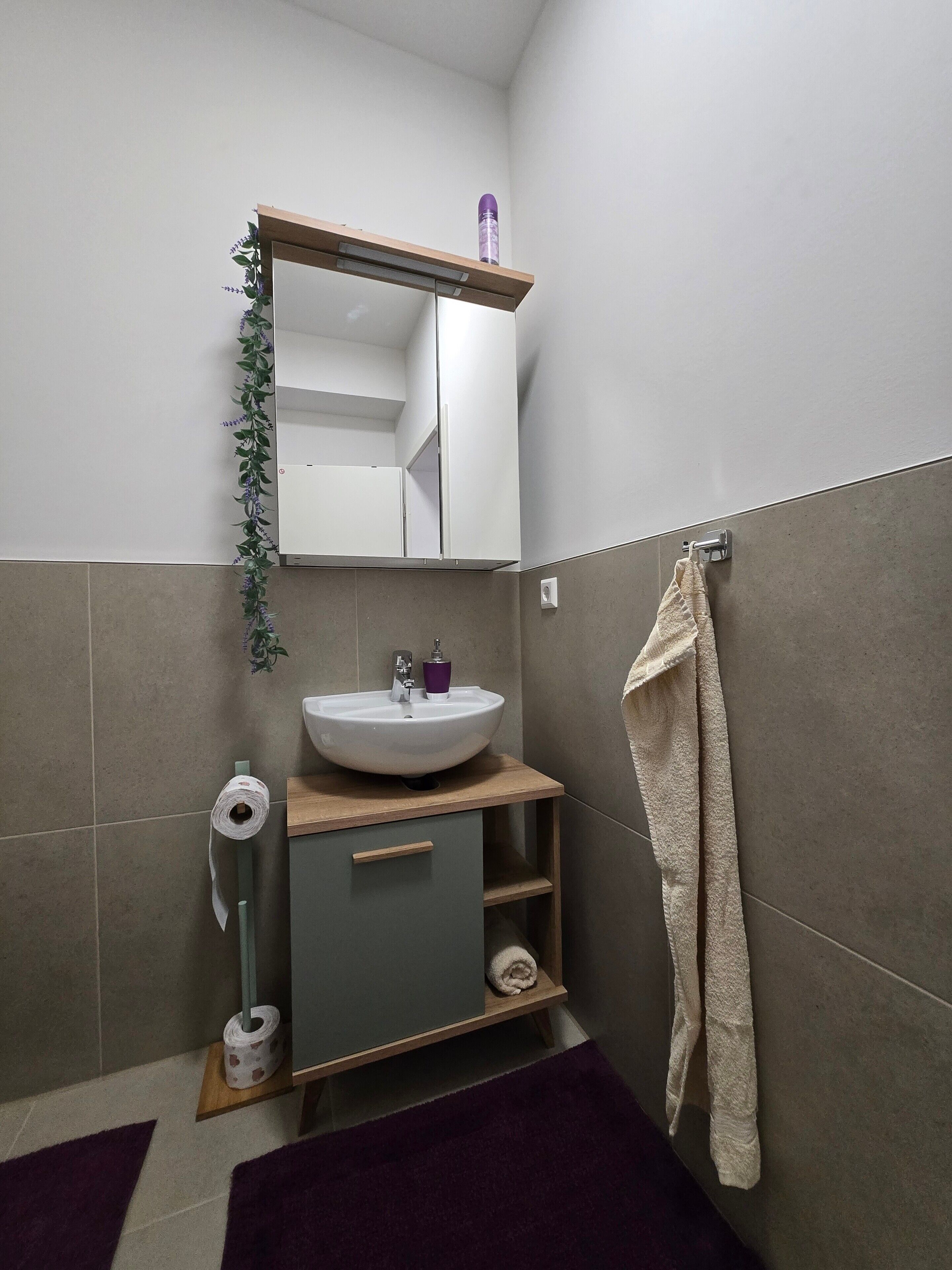 Ducha, secador de pelo, toallas