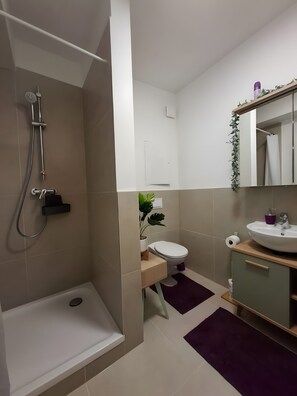 Shower, hair dryer, towels