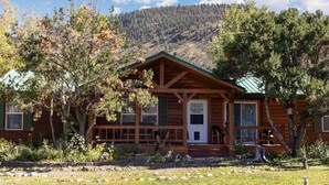 A log cabin with a porch and a front door, surrounded by trees and a mountain in the background.