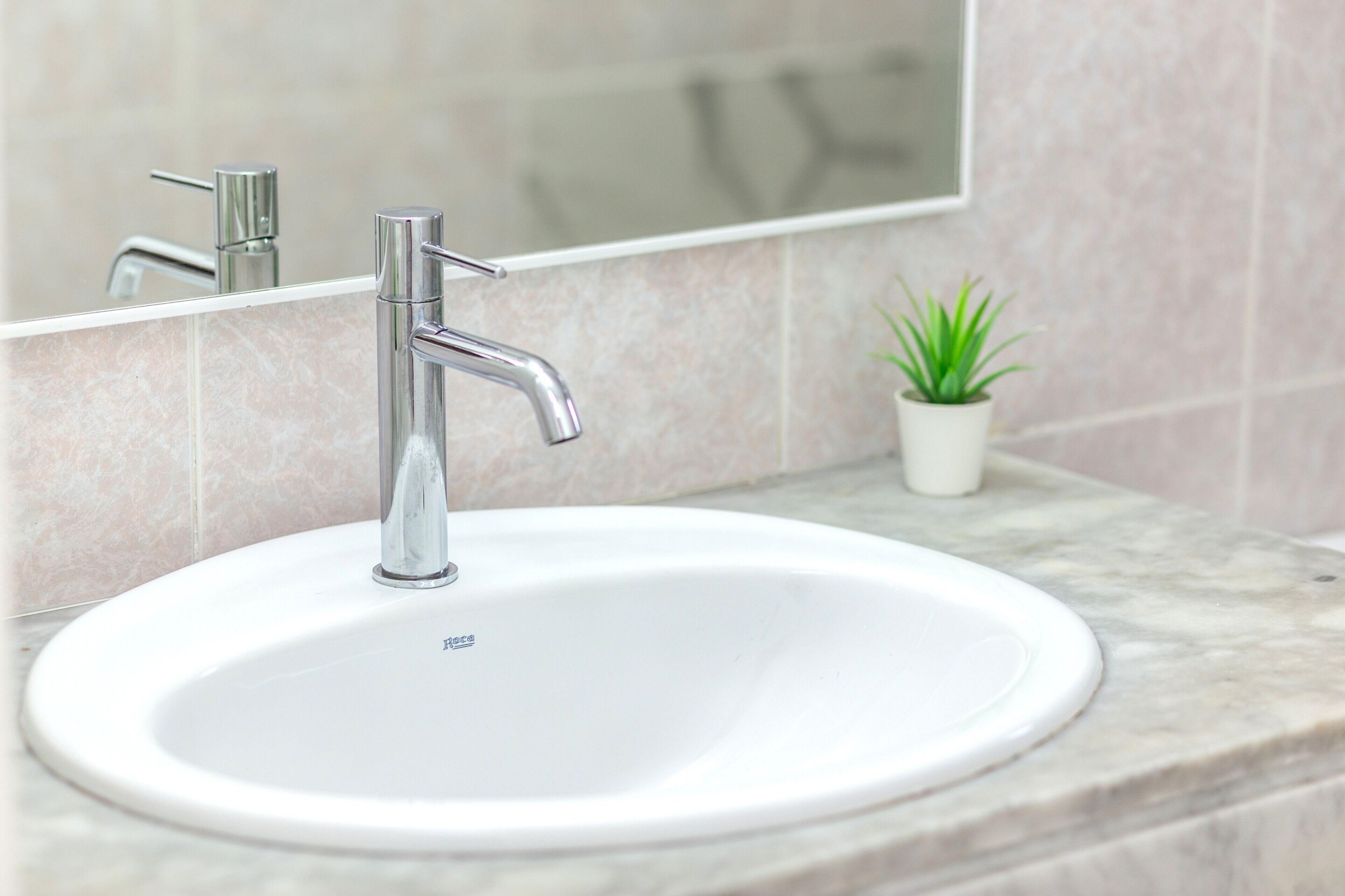 Une salle de bain avec un lavabo blanc, un robinet chromé et une petite plante en pot.