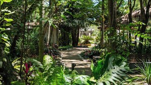 A lush garden pathway with potted plants and a thatched-roof structure. - Papalo Resort Hotel (Altos)