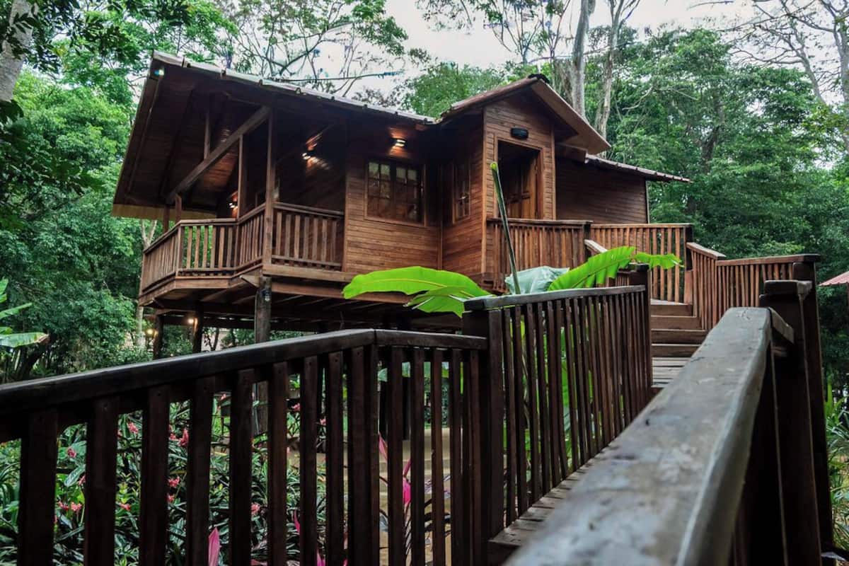 A wooden cabin with a balcony, surrounded by lush greenery.