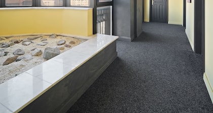 Lapusneanu Central Apartments