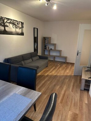 TV - Peaceful Flat in Geneva (Geneva)