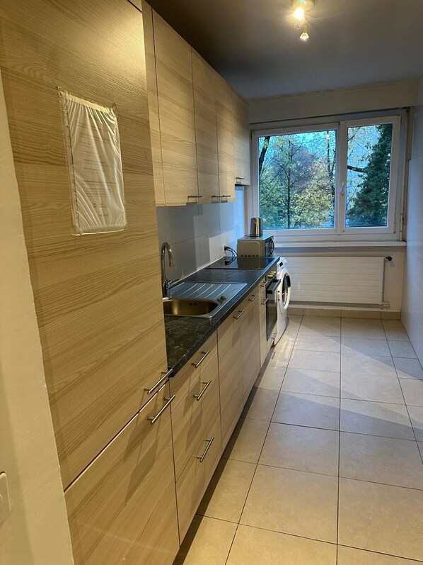 Private kitchen - Peaceful Flat in Geneva (Genève)