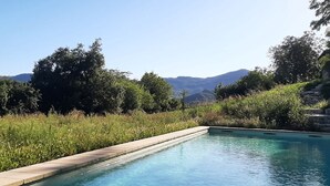 Ein rechteckiger Swimmingpool mit Steinrand, umgeben von üppiger Vegetation und Bäumen, mit Bergen im Hintergrund.