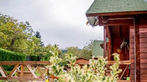 A wooden cabin with a green roof, a horse head decoration, and a satellite dish. - Kedra Village Superior Chalet - Mountain Escape (Makrakomi)