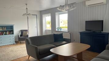 Smart TV, DVD player, books, video library