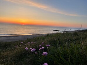 Beach - Newly renovated and charming vacation apartment in Bonnet near Lemvig. (Lemvig)