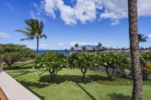 Condo, 2 quartos | Área da propriedade