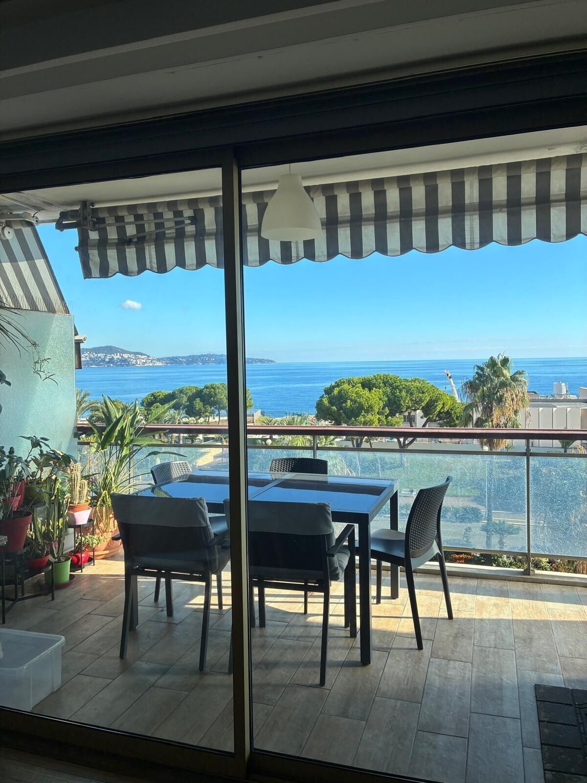 オーナーのプロフィール画像