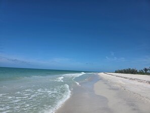 Ein Strand mit klarem, blauem Wasser und einem sandigen Ufer.