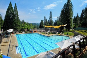 A rectangular swimming pool with blue lane dividers, surrounded by lounge chairs and umbrellas, set against a backdrop of tall trees and a clear sky. - Campwest Lodge- BLS, A/C (Arnold)