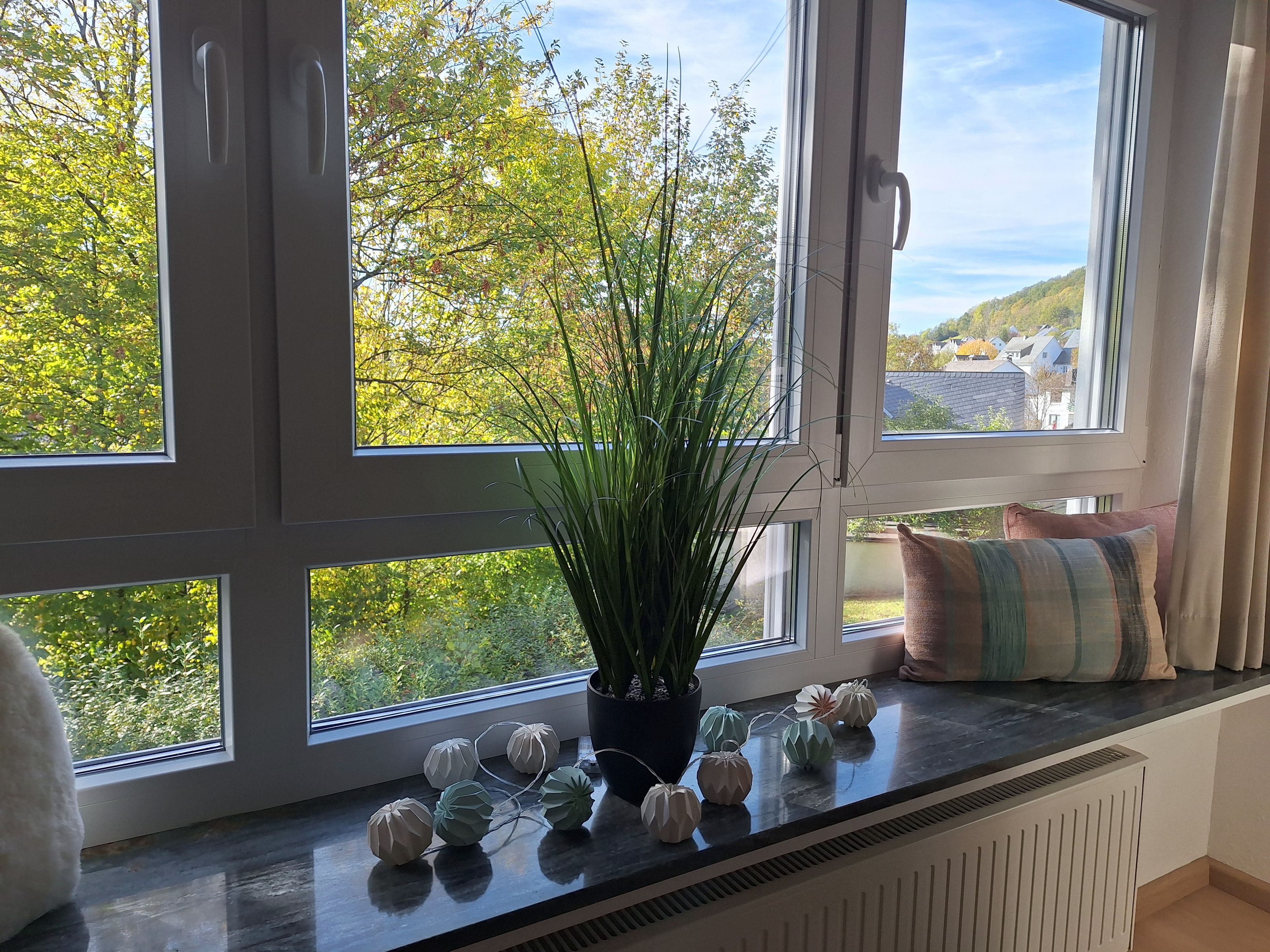 A window with a view of greenery and a building, a potted plant, and decorative spherical objects on a ledge.