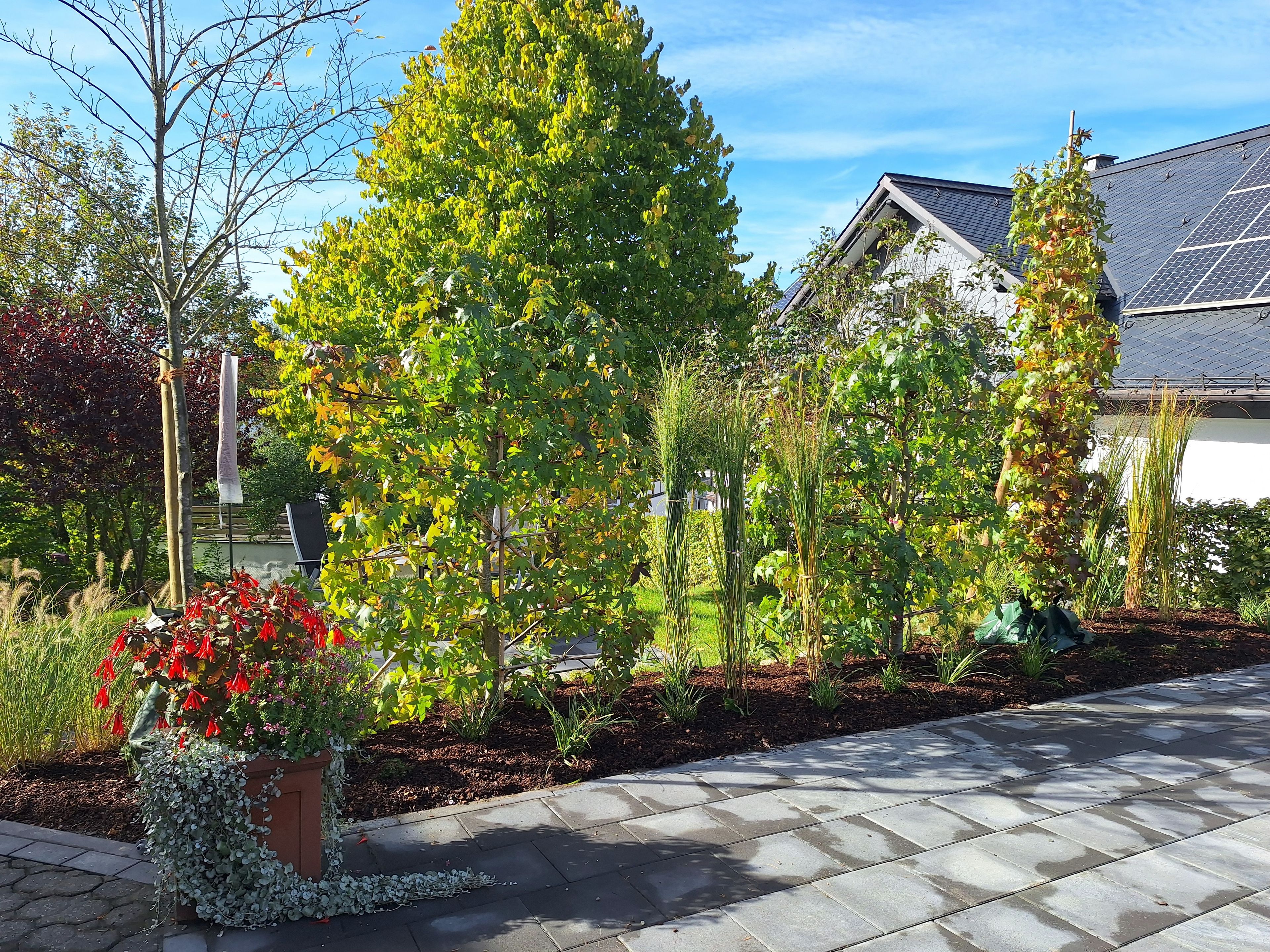 A residential garden with a paved walkway, various plants, and a house with solar panels.