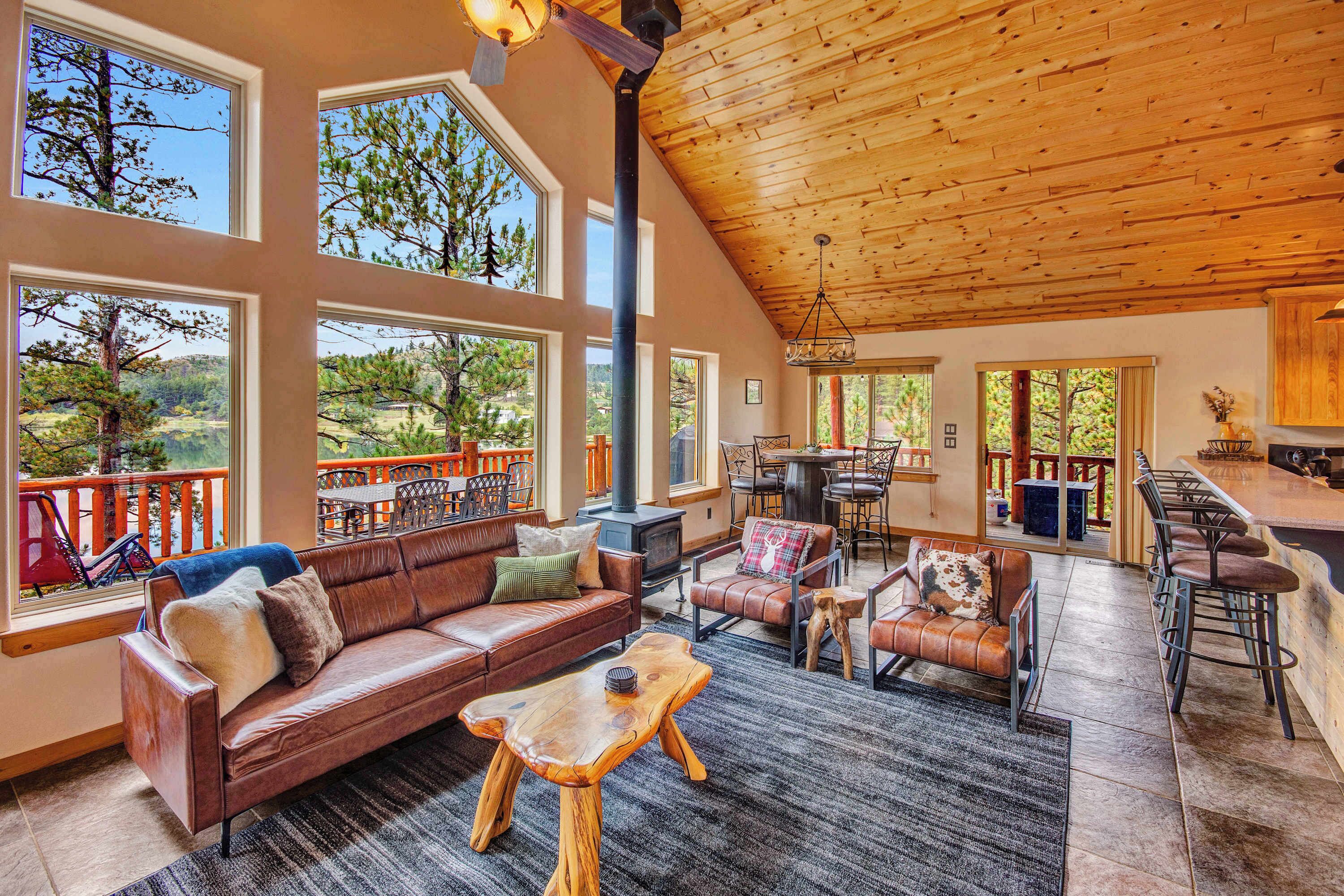 TV, fireplace, books