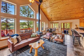 TV, fireplace, books - Woodland Park Lakeview Log Cabin + Hot Tub & Sauna (Woodland Park)