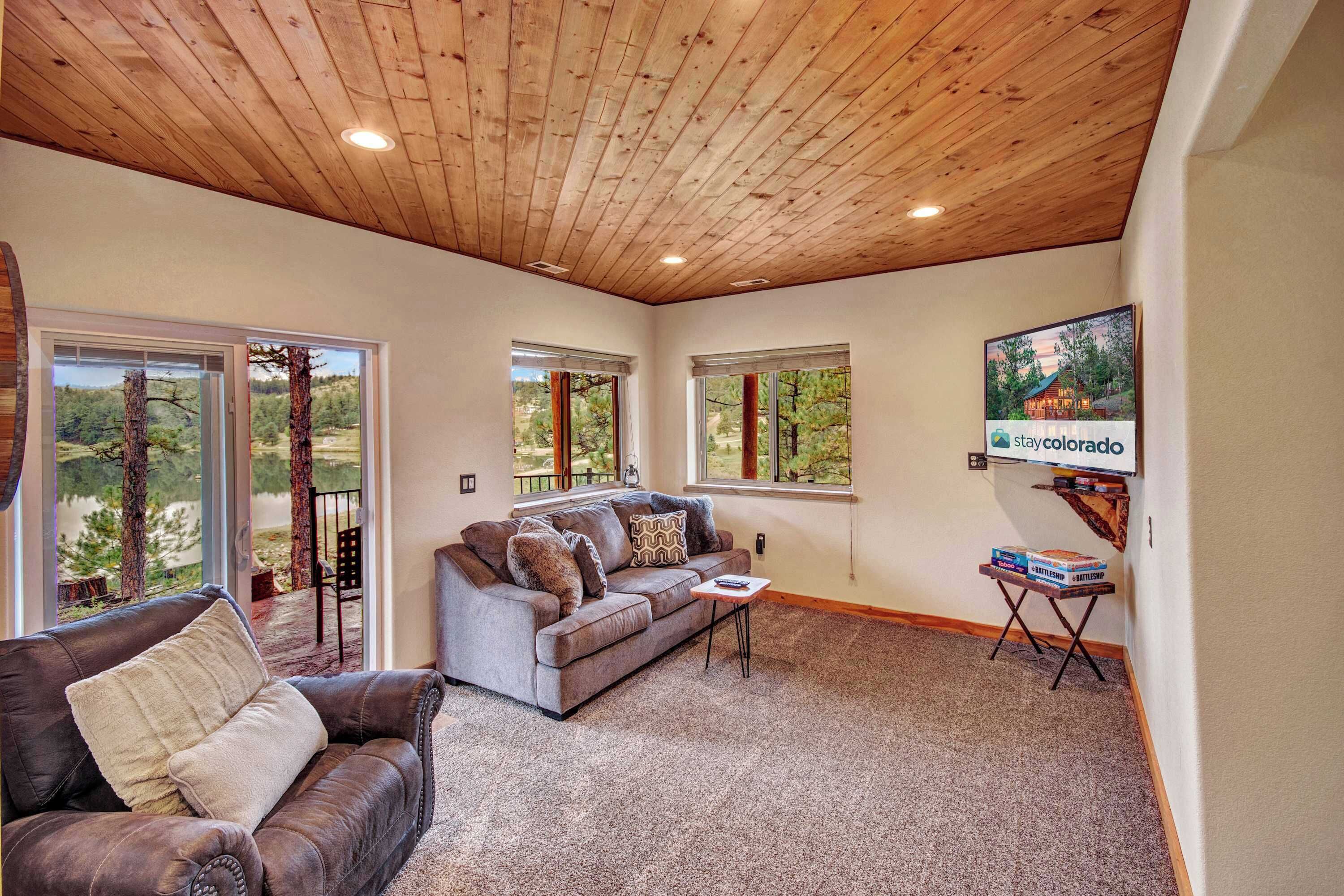 Televisión, chimenea y libros 