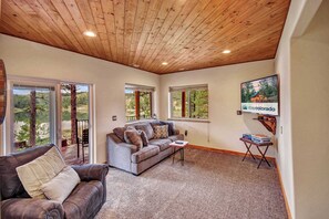 TV, fireplace, books