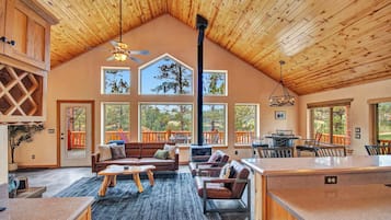 TV, fireplace, books