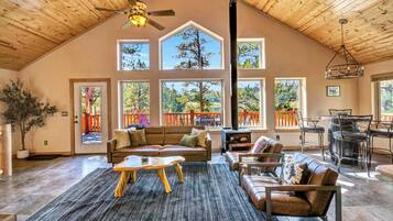 TV, fireplace, books