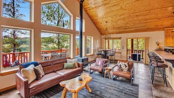 TV, fireplace, books